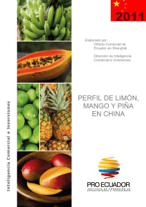 PERFIL DE LIMÓN, MANGO Y PIÑA EN CHINA