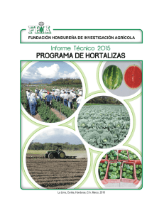 Programa de Hortalizas - Fundación Hondureña de Investigación