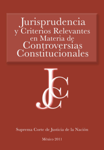 Jurisprudencia y Criterios Relevantes en Materia de Controversias