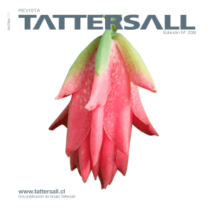 Revista Tattersall 2016