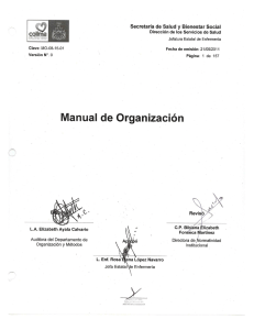 Manual de Organización de la Jefatura Estatal de Enfermería 2011