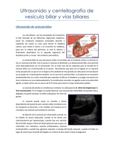 Ultrasonido y centellografía de vesícula biliar y vías biliares