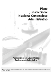 Pleno Jurisdiccional Nacional Contencioso Administrativo