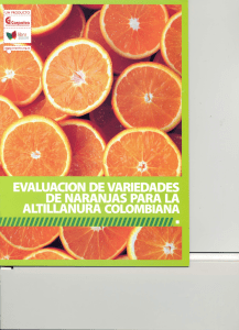 características de las principales variedades de naranjas dulces