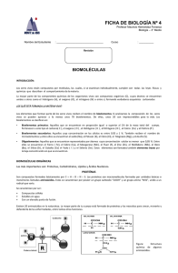 F4 – Biomoléculas - Colegio Monte de Asís