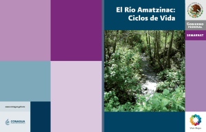 El Río Amatzinac: Ciclos de Vida
