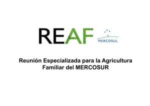 REAF - UFRGS