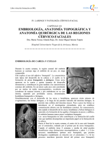 embriología, anatomía topográfica y anatomía quirúrgica
