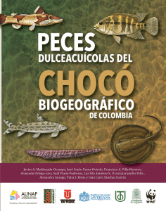 Peces dulceacuícolas del Chocó biogeográfico de Colombia.