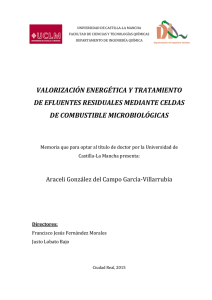 Tesis Doctoral_Araceli González del Campo