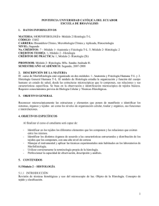 Morfofisiologia (T-L) - Pontificia Universidad Católica del Ecuador
