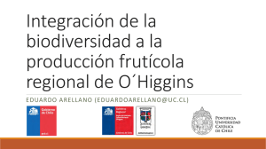 descargar - Gobierno Regional de O`Higgins