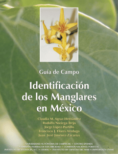 Guía de Campo Identificación de los Manglares en México
