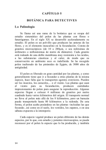 CAPÍTULO 5 BOTÁNICA PARA DETECTIVES La Palinología