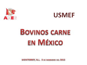 Ganadería, engorda y producción de carne de bovino en México