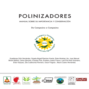 Manual de Polinizadores - Grupo Vicente Guerrero