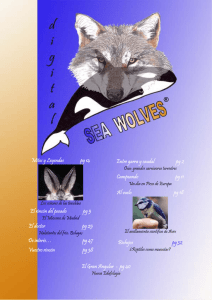 Sea Wolves digital 2