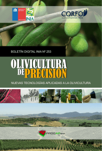 olivicultura de precisión