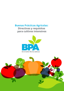 Buenas Prácticas Agrícolas: Directivas y requisitos para cultivos