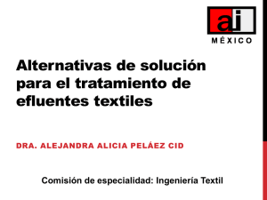 Descargar presentación completa - Academia de Ingeniería de México