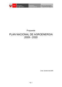 Plan Nacional de Agroenergía - Inicio