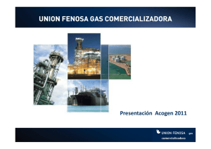 union fenosa gas comercializadora