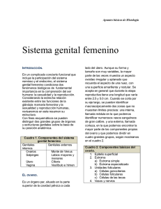 Sistema genital femenino