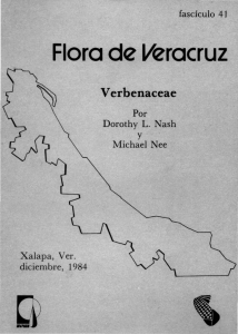 Flora de Veracruz
