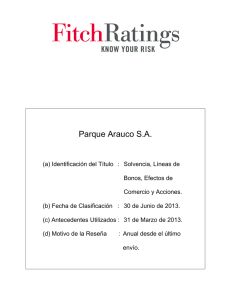 Fitch Rating 2013