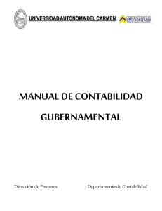 manual de contabilidad gubernamental