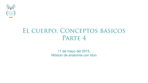 11-05-2015 El cuerpo conceptos basicos 4