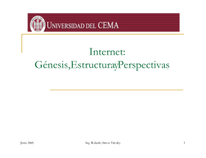 Internet: Gщnesis, Estructura y Perspectivas