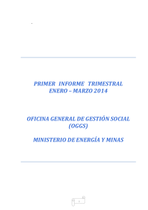 Informe Trimestral (Enero - Marzo 2014)