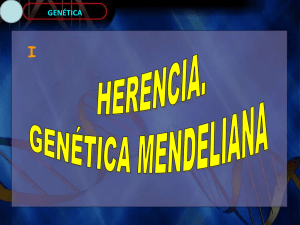 Genética mendeliana 1 - ies "poeta claudio rodríguez"