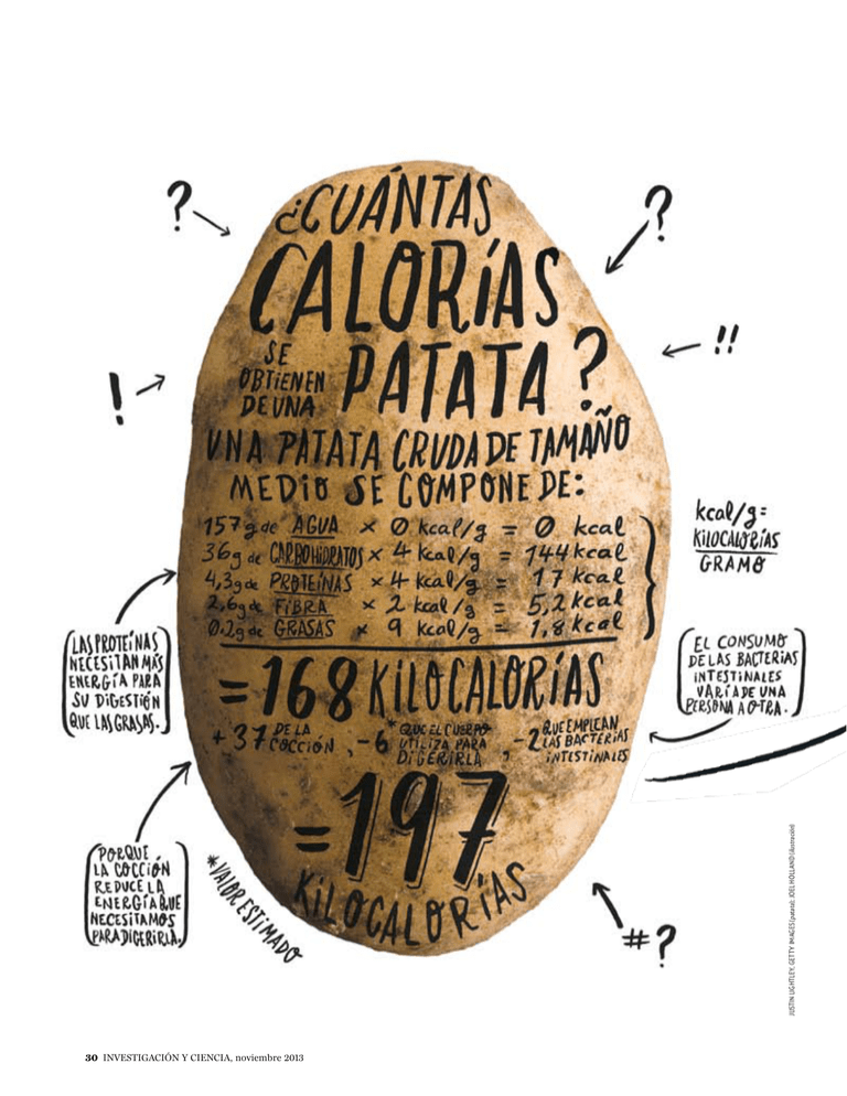 Cuántas Calorías Aportan los Alimentos