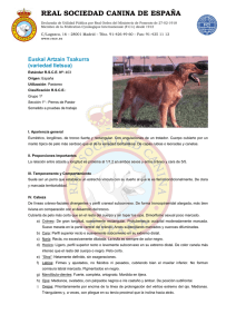 Iletsua - Real Sociedad Canina de España