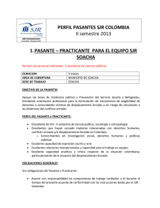 PERFIL PASANTES SJR COLOMBIA II semestre 2013 1. PASANTE