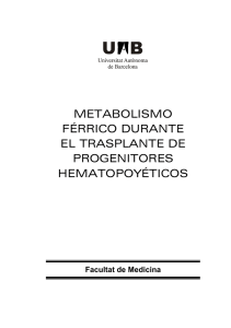 metabolismo férrico durante el trasplante de progenitores