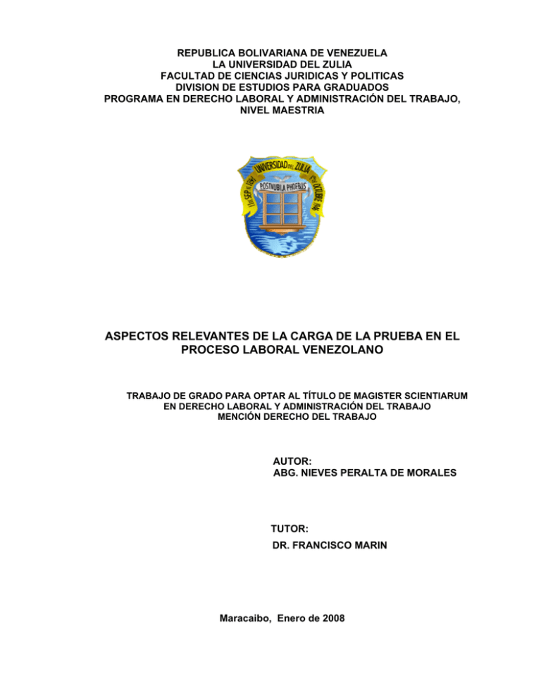 Aspectos Relevantes De La Carga De La Prueba En El Proceso