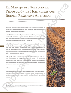 El manejo del suelo en la producción de hortalizas con