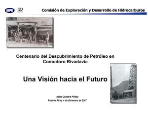 Una Visión hacia el Futuro - Instituto Argentino del Petroleo y del Gas