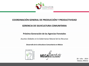 coordinación general de producción y productividad gerencia de