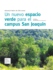 Un nuevo espacio verde para el campus San Joaquín