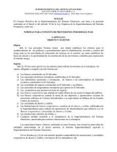 NCES-02 Normas para Constituir Provisiones por Riesgo País