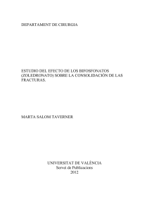 efecto de los bifosfonatos en la consolidación de las fracturas