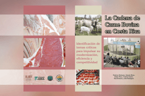 Análisis de la cadena de la carne bovina en Costa Rica