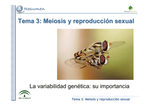 Tema 3: Meiosis y reproducción sexual