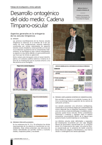 Revista Vol. 9 - n.º 2 - 2006