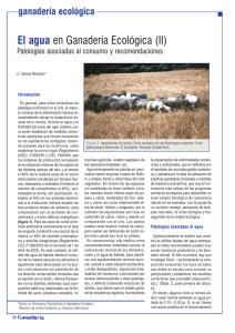 [2004] El agua en ganadería ecológica (II).