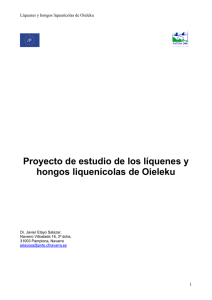 Proyecto de estudio de los líquenes y hongos liquenícolas